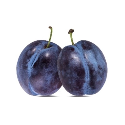 PLUM SATSUMA DWARF BR