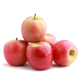 APPLE PINK LADY DWARF BR