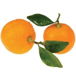 9358210304700_1.jpg