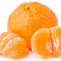 9358210308005_1.jpg