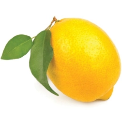 9358210327808_1.jpg