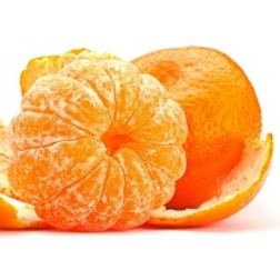 9358210330600_1.jpg