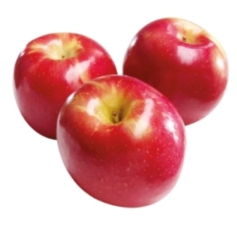 APPLE RED FUJI DWARF BR