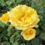 20044398_1.jpg