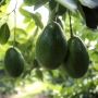 Thumb image 3756