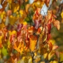 Thumb image 3656