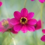 Thumb image 2953