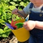 Thumb image 2781