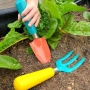 Thumb image 2773