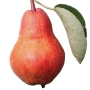 Thumb image 3580